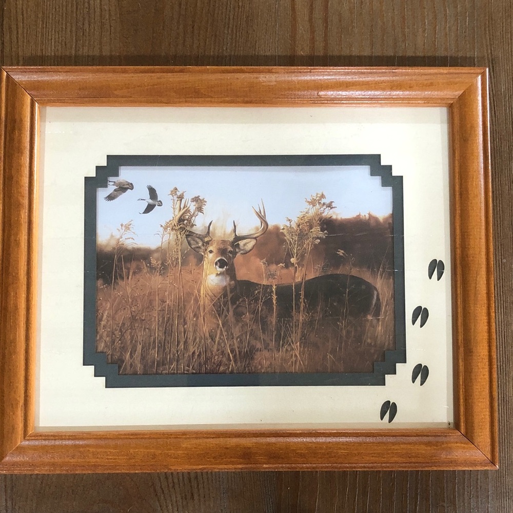 Deer Wall Art Print Picture in Wood Frame